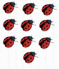 Load image into Gallery viewer, Ladybug Sticker
