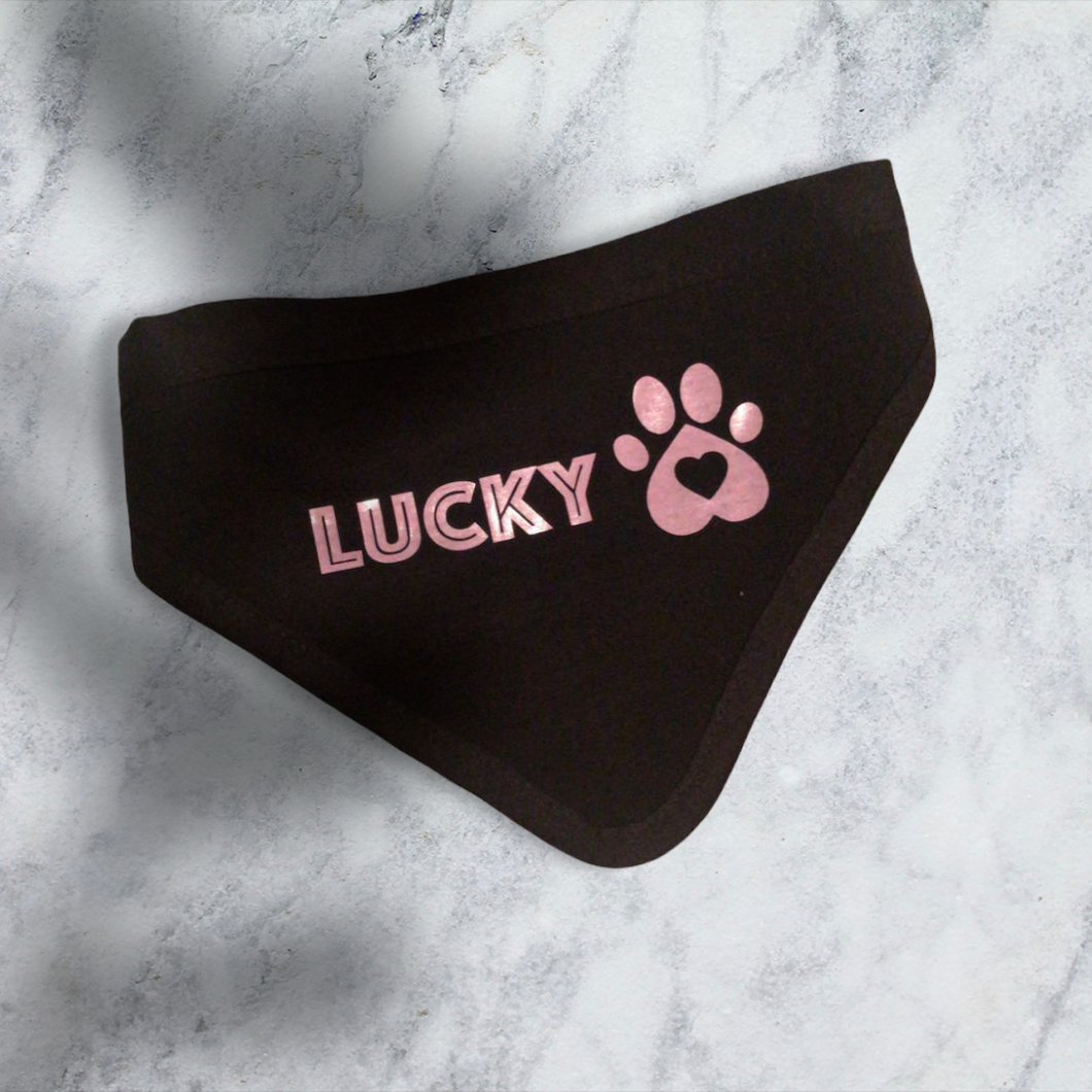 Bandana For a Doggie. Lucky